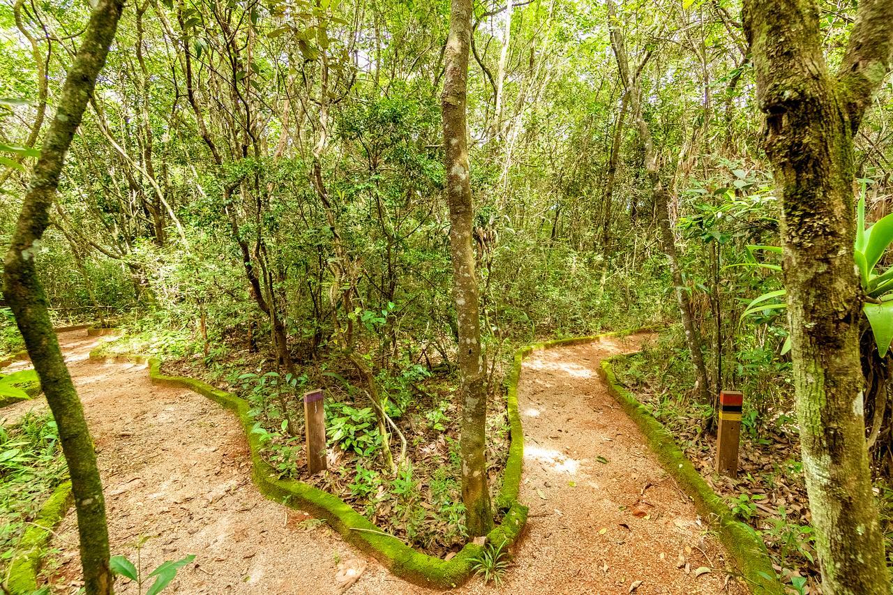 Hotel Mil Flores Bragança Paulista Exteriér fotografie